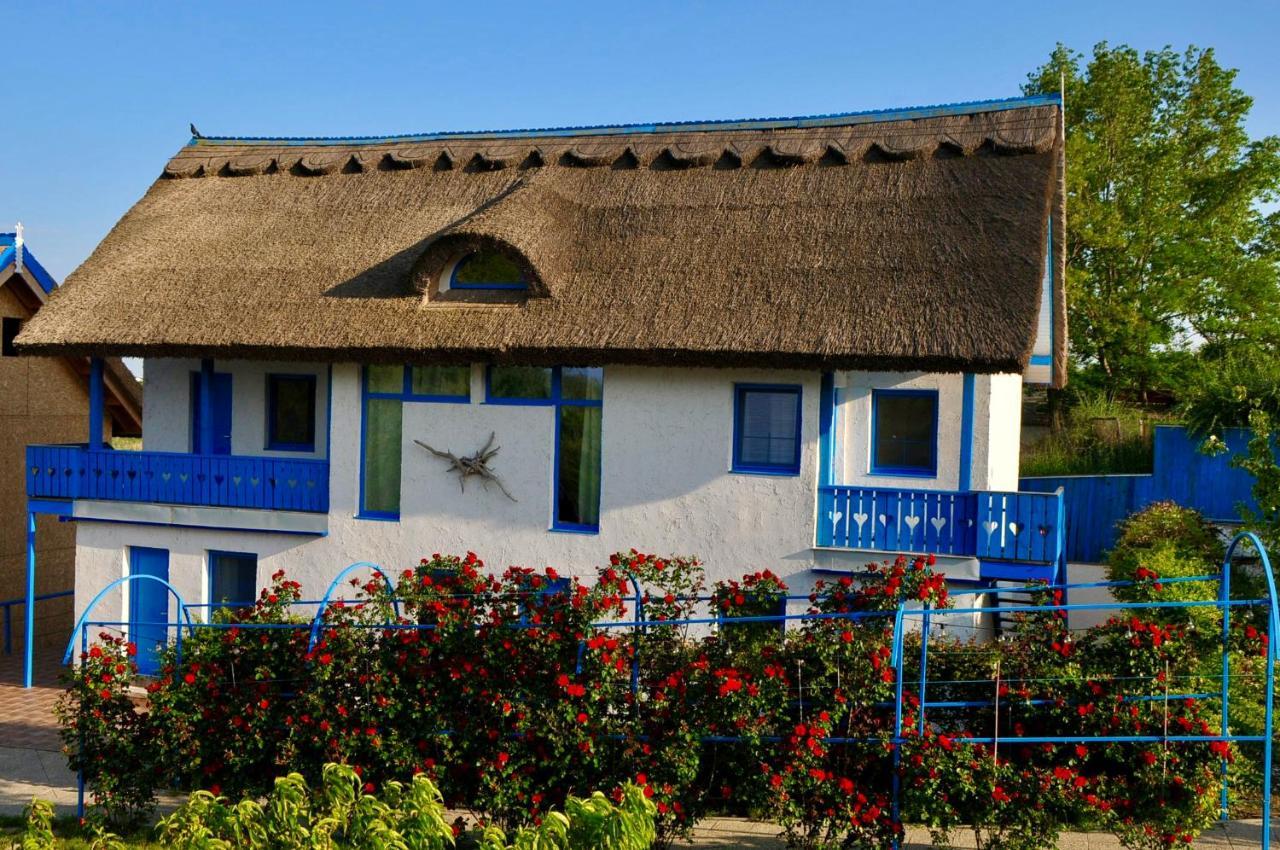 Nena Art Resort Dunavăţu de Jos Zewnętrze zdjęcie