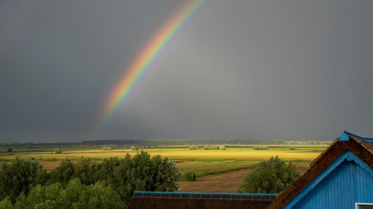 Nena Art Resort Dunavăţu de Jos Zewnętrze zdjęcie