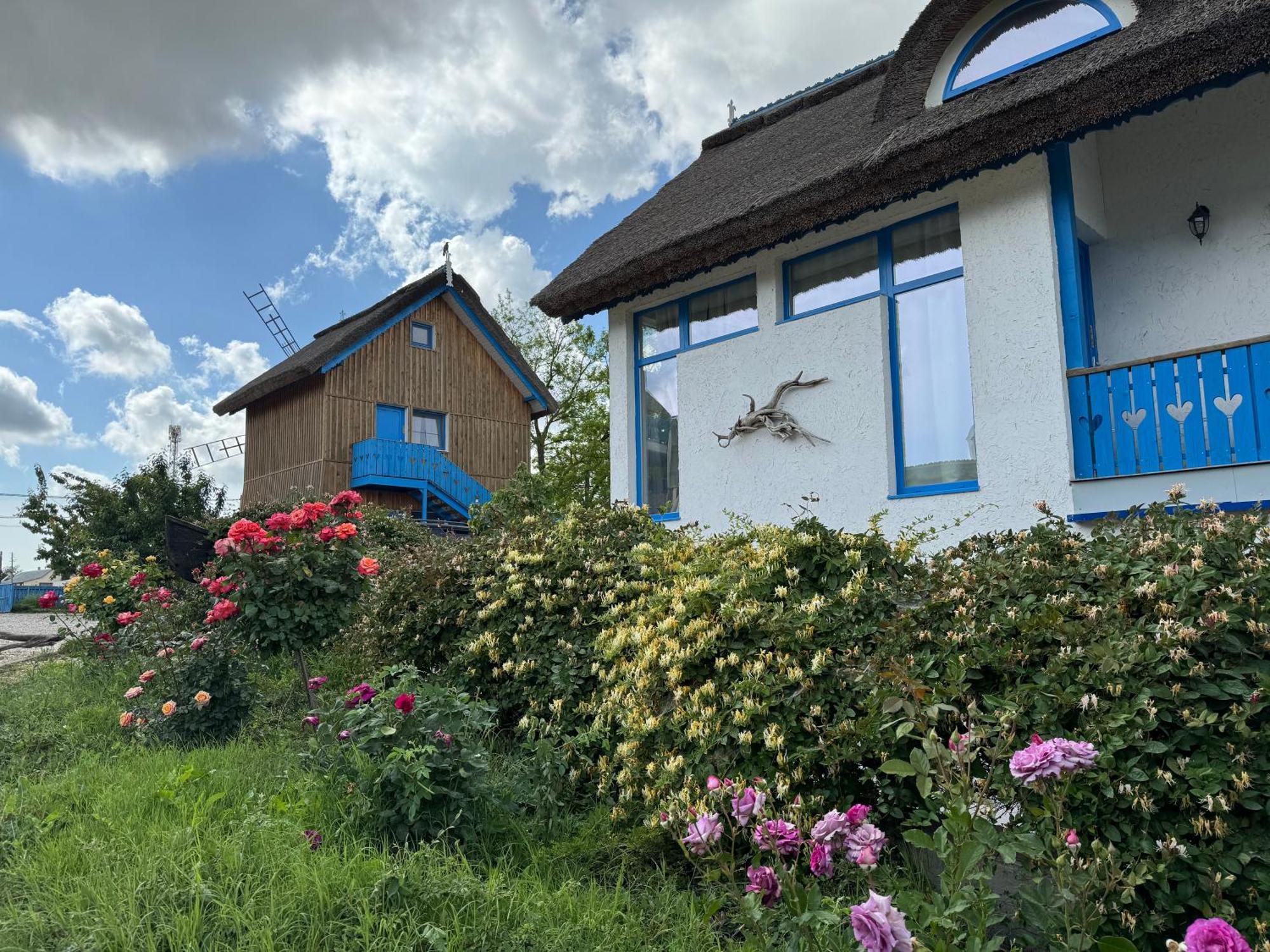 Nena Art Resort Dunavăţu de Jos Zewnętrze zdjęcie