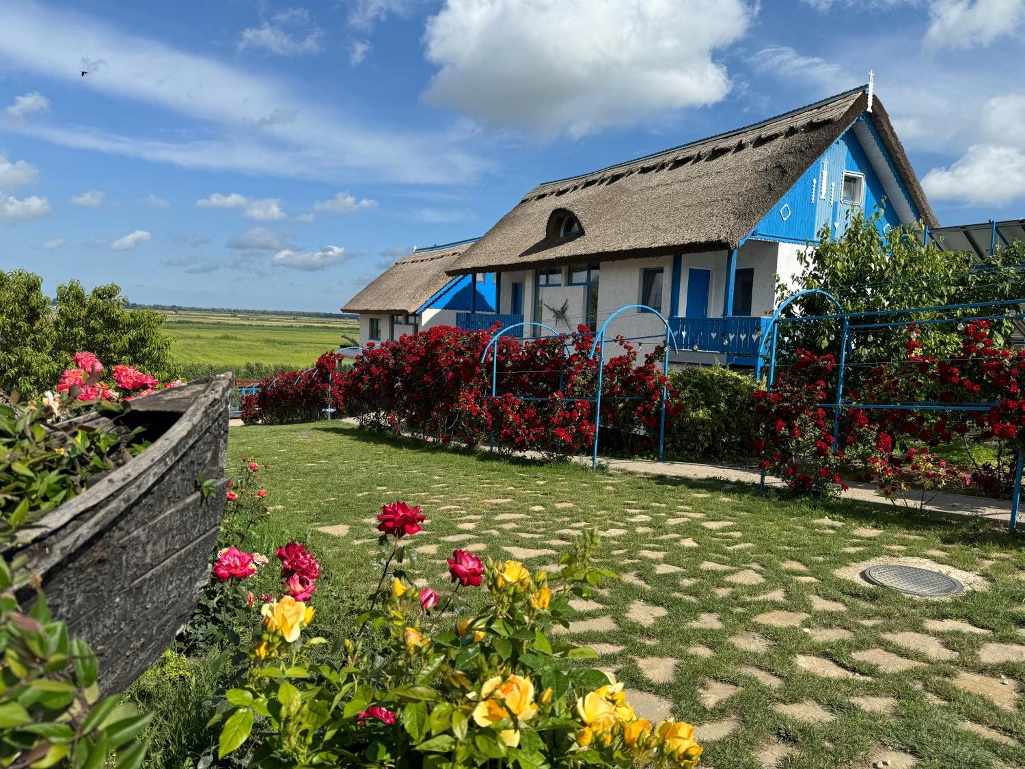 Nena Art Resort Dunavăţu de Jos Zewnętrze zdjęcie